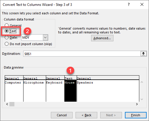 text to columns format column