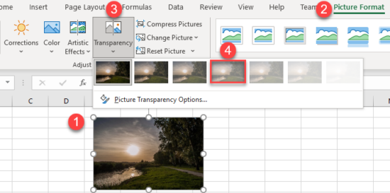 how-to-make-a-shape-or-picture-transparent-in-excel-auto-vba