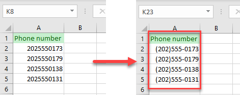 phone number url format